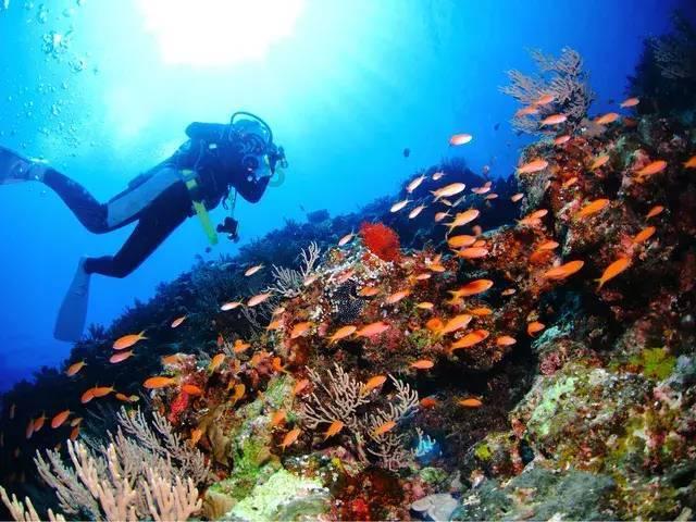 济南发布35个数字消费场景 培育消费新业态